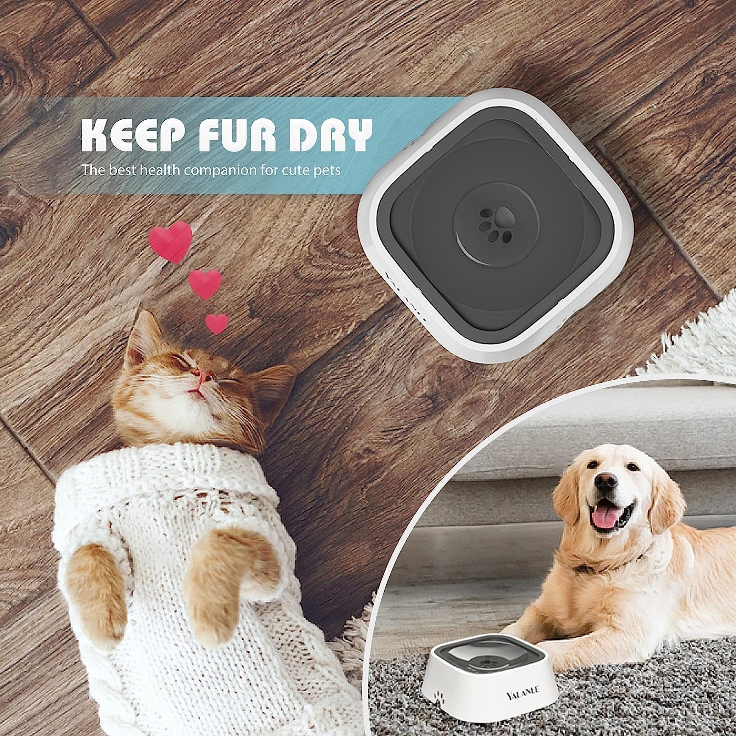 Dog Spill-Proof Water Bowl