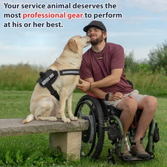 Service Dog Vest with Hook and Loop Straps and Handle - Harness Is Available in 8 Sizes from XXXS to XXL - Service Dog Harness Features Reflective Patch and Comfortable Mesh Design (Black, XXL)